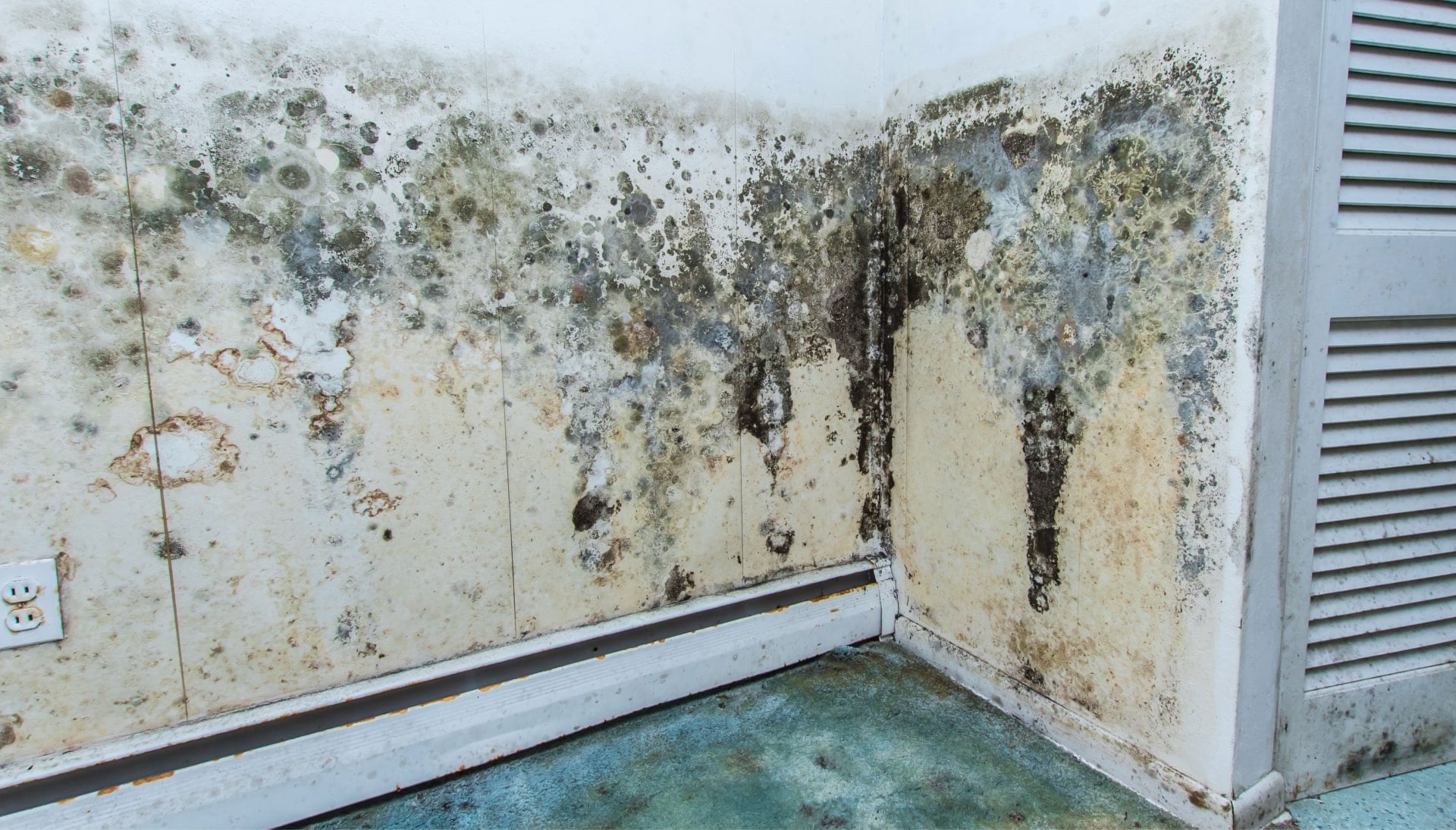 Mold Damage Odor Control Services in Melbourne