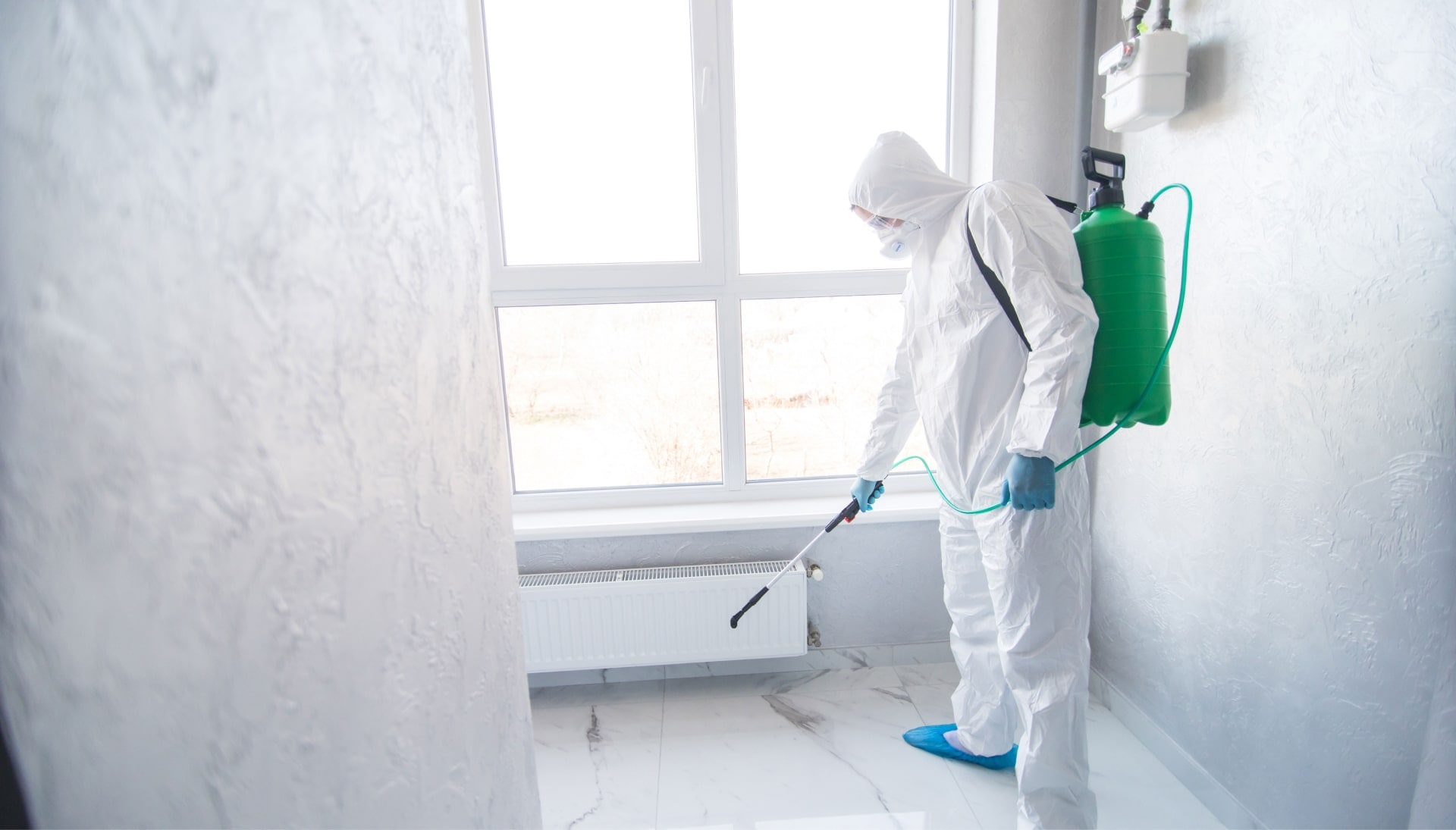 Mold Inspection Services in Melbourne